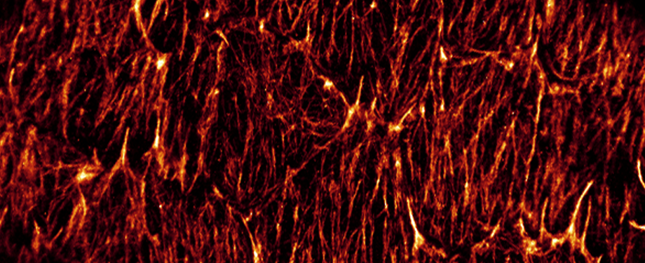 temporary image